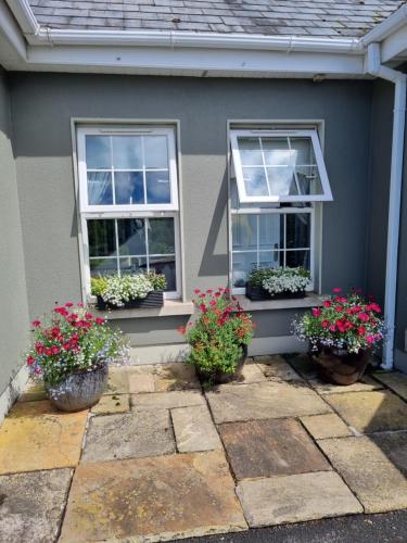 Highfield house bed and breakfast COLLINSTOWN