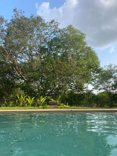 Casa de campo Hacienda Multunkú Minerva in Seyé, Mexico