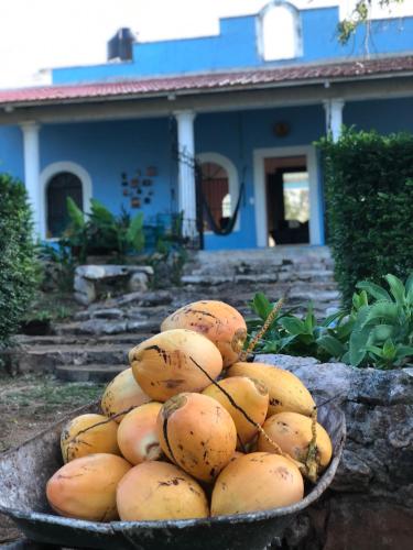 Casa de campo Hacienda Multunkú Minerva