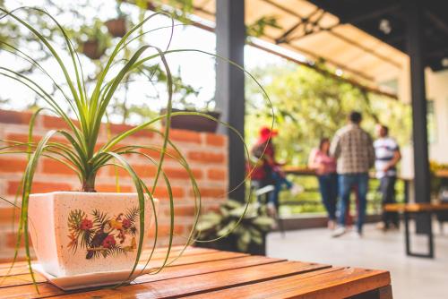 ทัศนียภาพ, Margarit Boutique Hotel in มิงโด