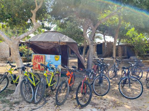 Camping La Roccia - image 6