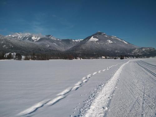 Pilzhof in Schleching, Deutschland