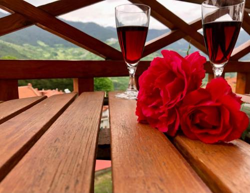 Apostolos Hotel in Metsovo