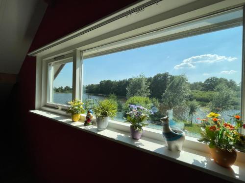 A környék, Het Riethuis in Coevorden-Centrum