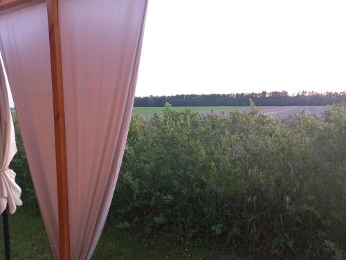. Eco zacisze