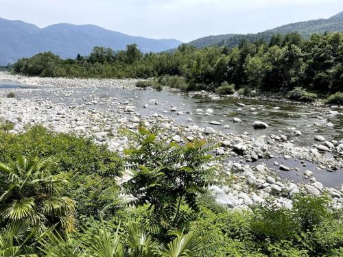 Immersi nella natura con accesso al fiume maggia - Locarno