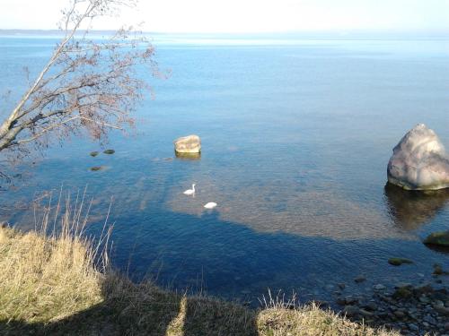 奥蒂旅馆 奥蒂旅馆