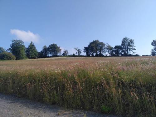 La Mancellière de Montjoie gîte Latécoère