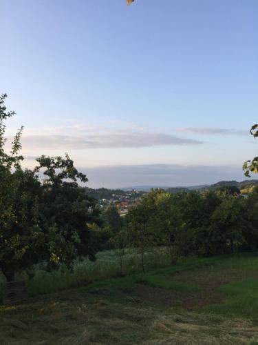 Dolores - Apartment - Tešanj