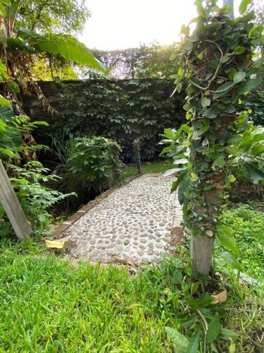 Increíble Villa de descanso con alberca climatizada y jardín tropical in Chiconcuac, Mexico