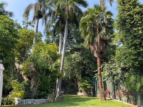 Increíble Villa de descanso con alberca climatizada y jardín tropical in Chiconcuac, Mexico