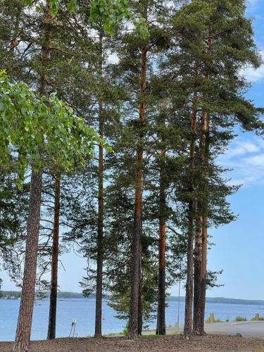 Cerca de lugares turísticos, Imatra Kylpyla Spa Entire Apartment in Imatra