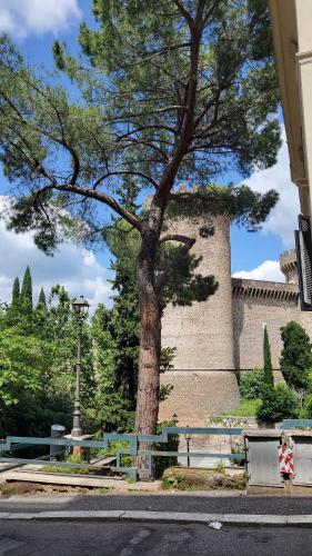 Domus Mia 5