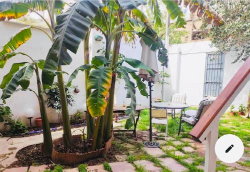 Habitación doble en Ruzafa con baño privado, Valencia (Foto 7)