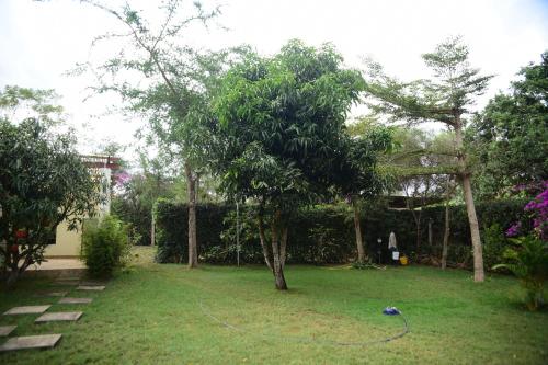 Charming Eco-Homestay near Kilimanjaro International Airport