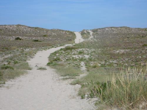  Peniche Blue Wave Home, Pension in Peniche bei Seixal