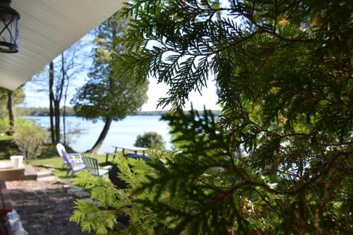 Carraigeen Cottage - image 8