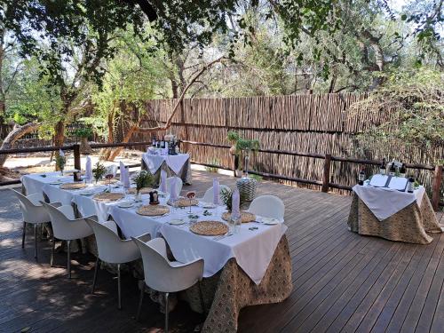 Karongwe Portfolio- Shiduli Private Game Lodge