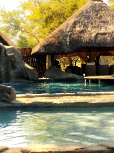 Karongwe Portfolio- Shiduli Private Game Lodge