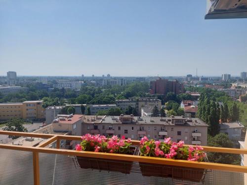 Premium studio apartment Antonio - image 2