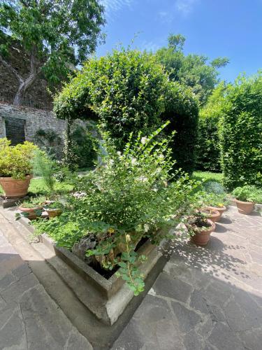 San Niccolò City Walls Garden, Florence (photo 7)