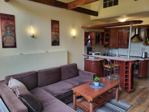 Apartament Józefina 8 dwupoziomowy z tarasem, Szklarska Poręba (foto 5)