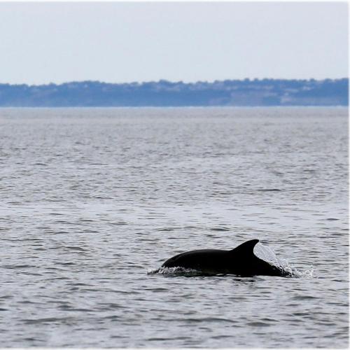 Stunning Sea View Two Bed Two Bathroom Apartment in Rest Bay