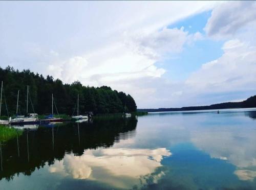 Domek letniskowy Golun in Olpuch