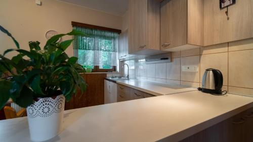 Apartmani Gorica in 普洛莫斯克