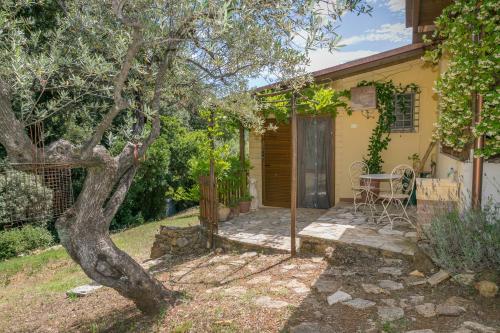 La Poggiolina in Toscana - Apartment - Guardistallo