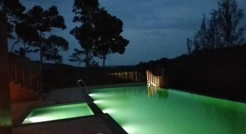 Swimming pool, Delano Residency in Poovar