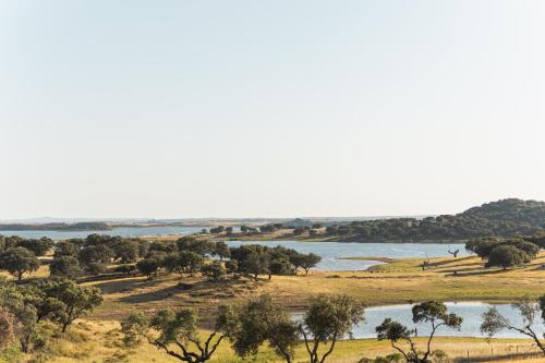 Herdade dos Delgados - image 9
