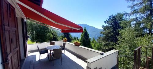  il larice d´ oro in Sueglio