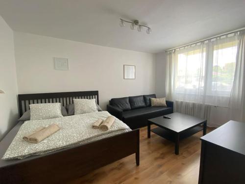 Apartmán ve Valticích - Apartment - Valtice