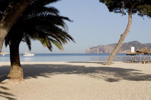 Plazamar Serenity Resort - image 10