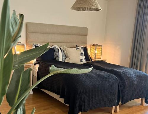 Lake Constance Apartment