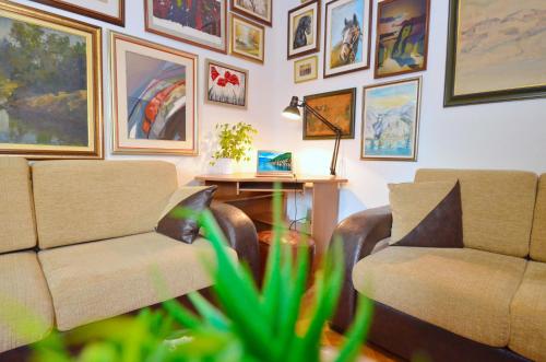 Central Art Oasis Kotor - image 3