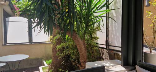 Hotel Valerì, Roma (foto 6)