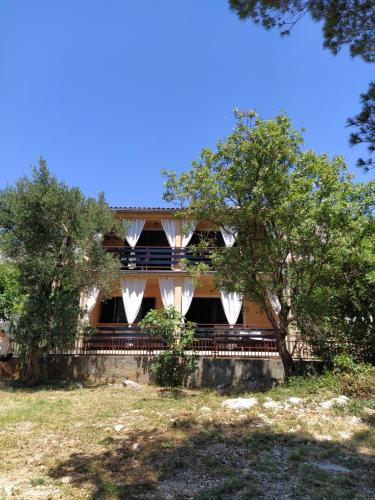 Apartment Savic