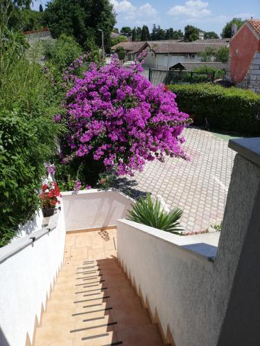 Apartments Poretti - image 7