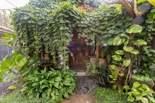 冲浪者花园民宿 冲浪者花园民宿