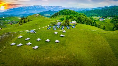 Ursa Mica Glamping Resort - Accommodation - Şirnea