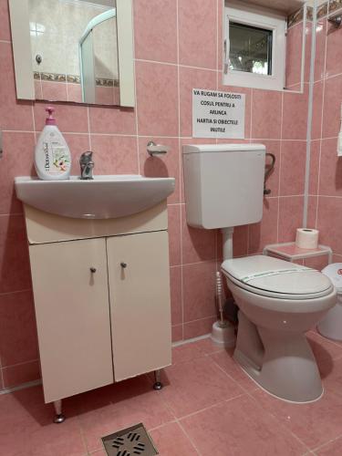 Casa Cu Flori Corbu - image 7