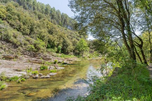 Le Moulin du Luech