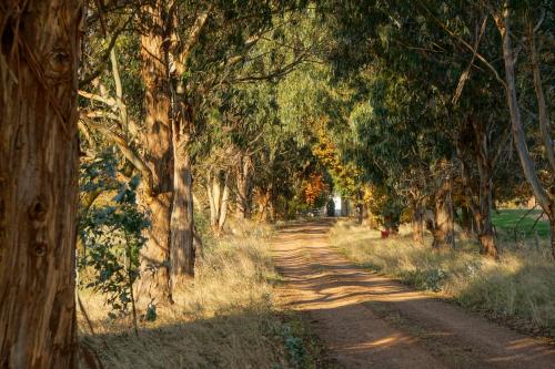 Booroolgunyah Luxury Farm Stay