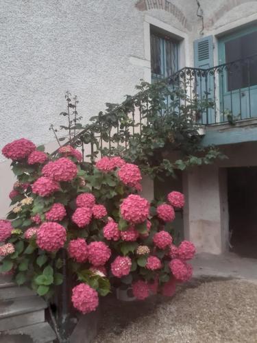 Charmante maison au coeur du Beaujolais in Романеш-Торон