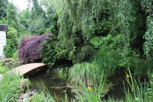花園, Ferienhaus Lorenz` Gartentraum - Emsland in 德爾彭