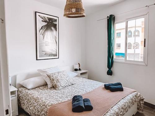 Apartment Pitaya
