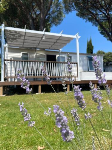 Comfort Mobile Home