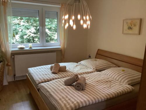 Bremer 45 - exklusives Apartment am Kurpark
